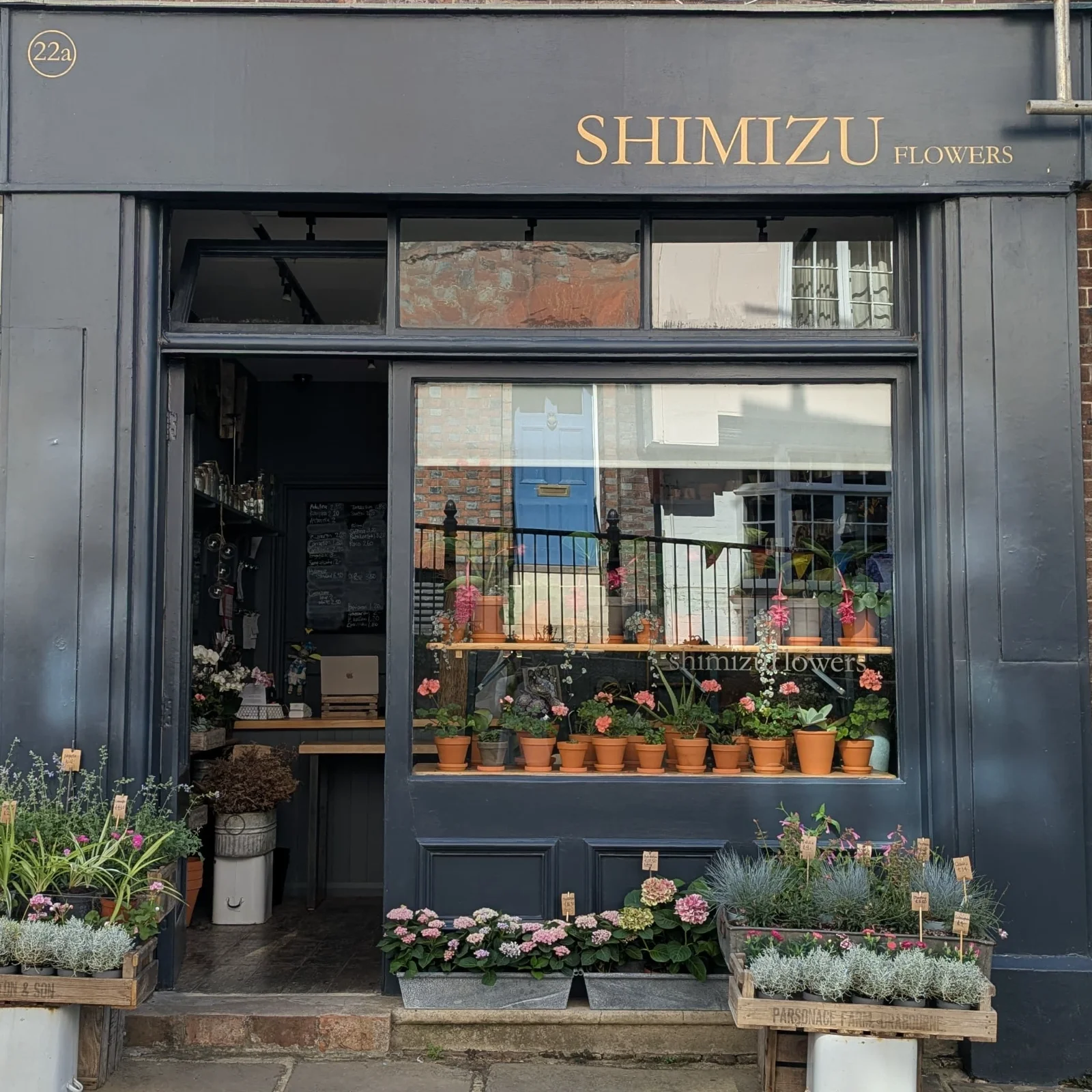 Shimizu Flowers
